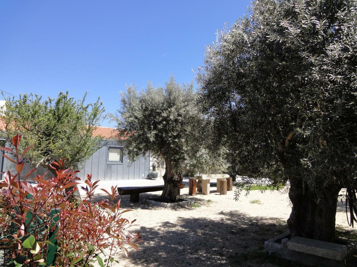 منزل الضيف Porto da Carne  في Casas Do Mondego المظهر الخارجي الصورة